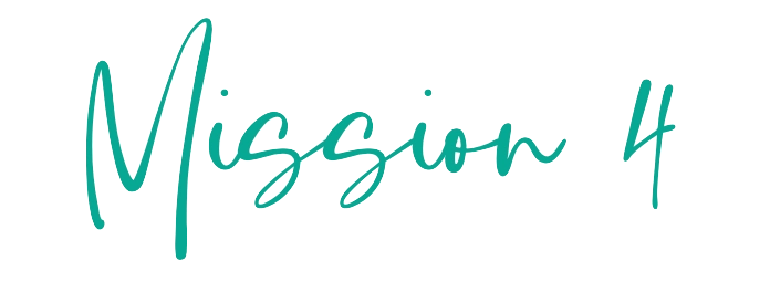 mission4